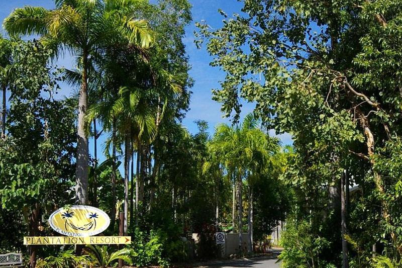 Port Douglas Plantation Resort Eksteriør billede